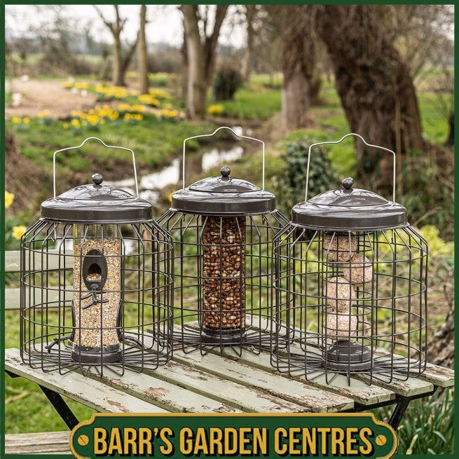 Gardman Heavy Duty Squirrel Proof Fat Snax Feeder