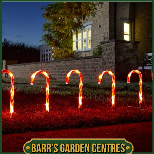 Three Kings Set of 6 CandyCane Stakes