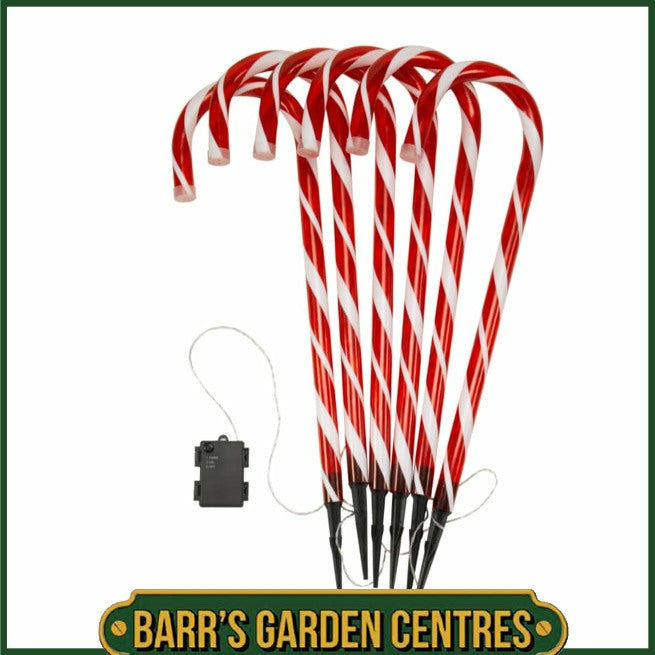 Three Kings Set of 6 CandyCane Stakes