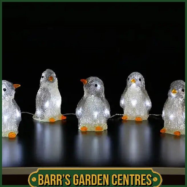 NOMA Set of 5 Penguin Lightchain