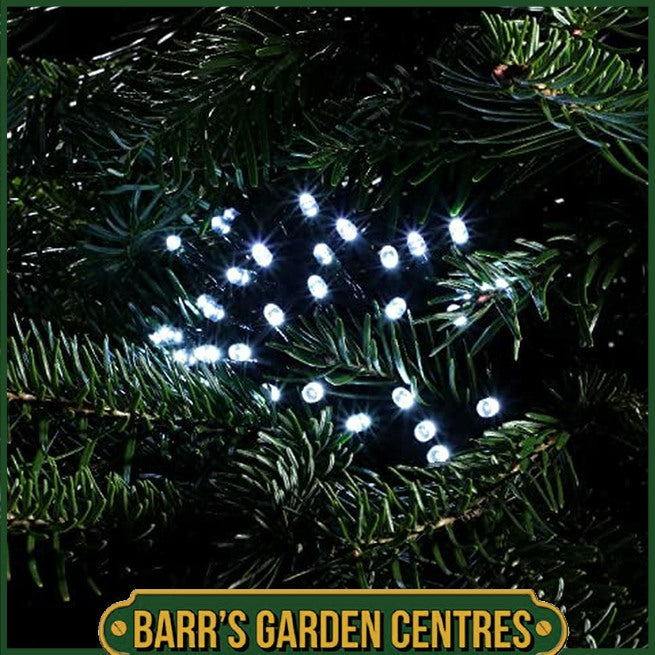 Noma 120-2000 Multi-action String Lights - White