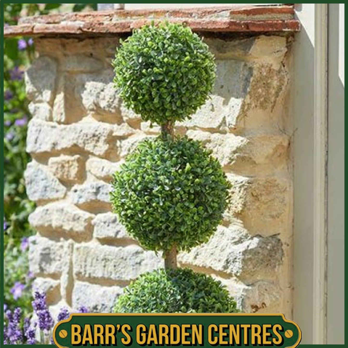 Smart Garden Trio Topiary Tree - 80cm