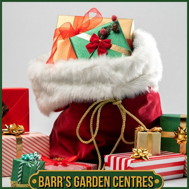 Christmas Gifts