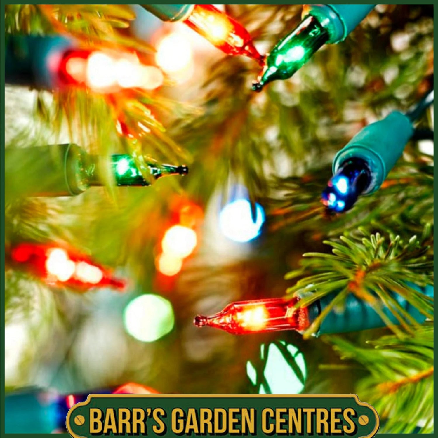Christmas Lights