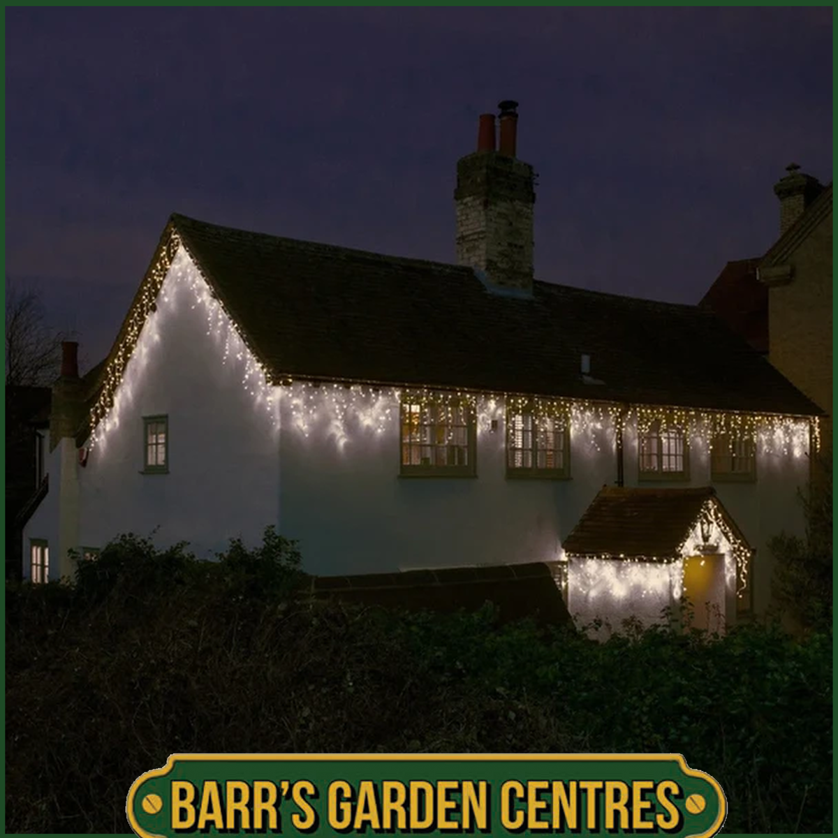 Christmas Lights indoor/outdoor