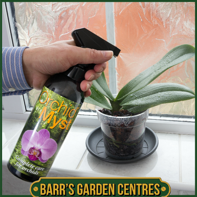 Growth Technolgy Orchid Myst - 300ml