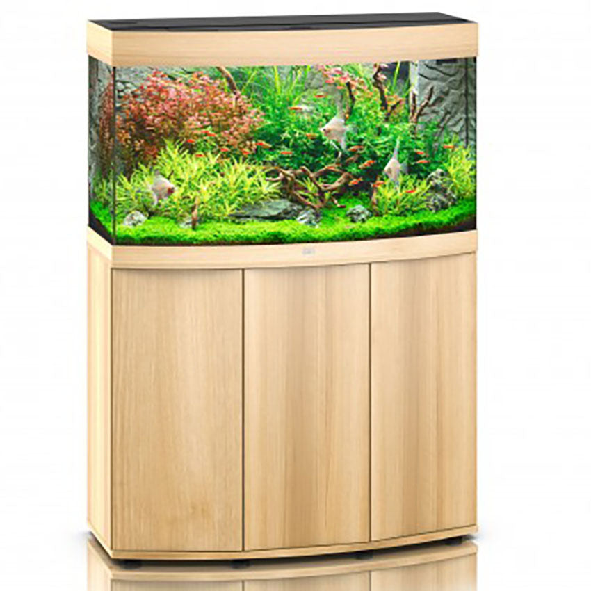 Vision 180 Aquarium