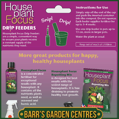 Growth Technology Houseplant Focus Drip Feeders 6 Pack