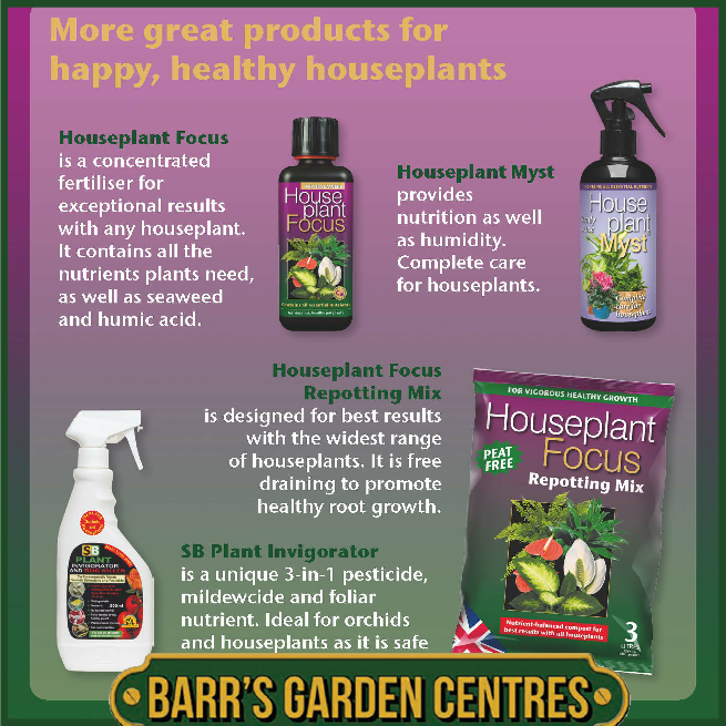 Growth Technology Houseplant Focus Drip Feeders 6 Pack