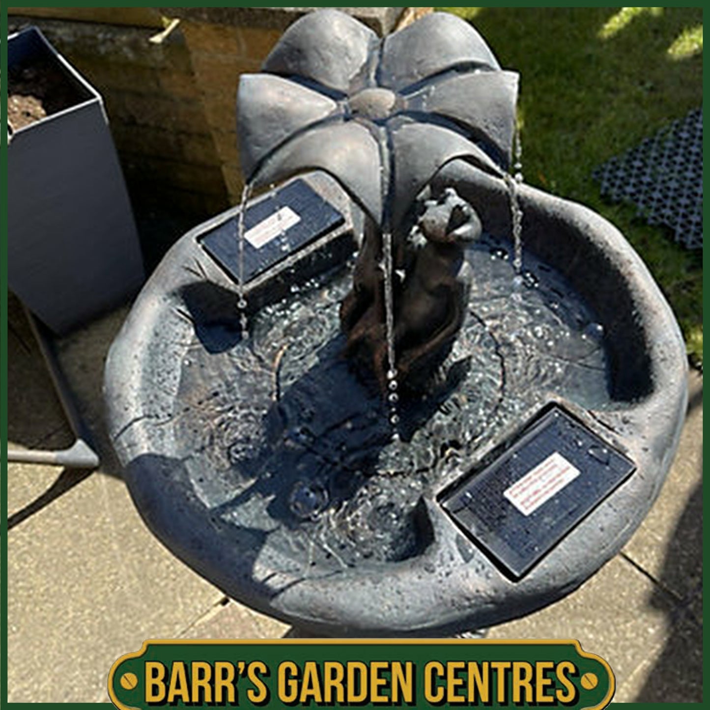 Smart Solar Frog Frolics