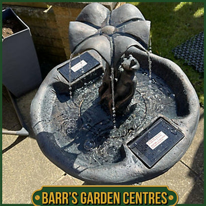 Smart Solar Frog Frolics