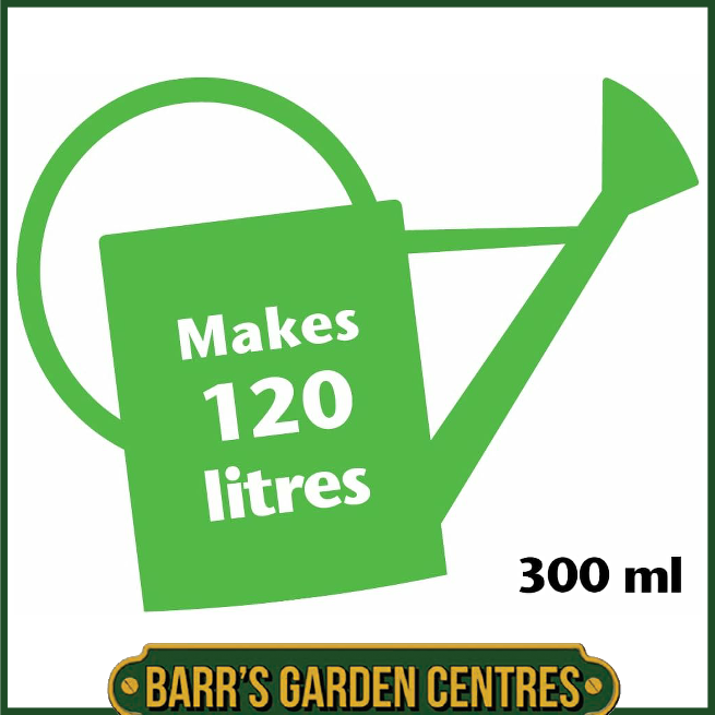 Growth Technolgy Orchid Focus Bloom with Seaweed 300ml