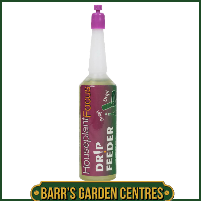 Growth Technology Houseplant Focus Drip Feeders 6 Pack