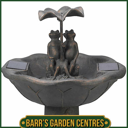 Smart Solar Frog Frolics