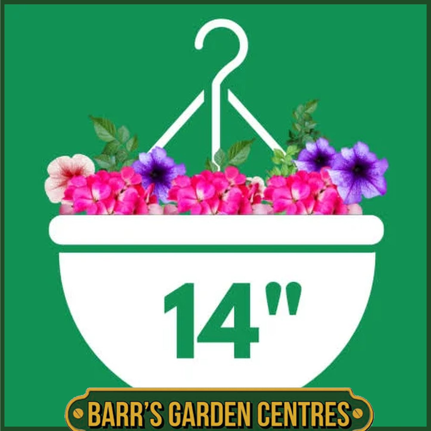 14" PLANTED HANGING BASKET