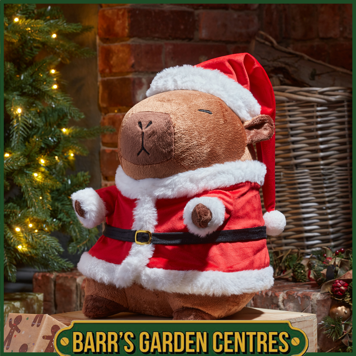 Santa Capybara