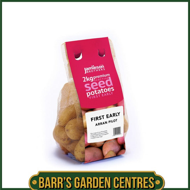 Arran Pilot Potatoes 2KG