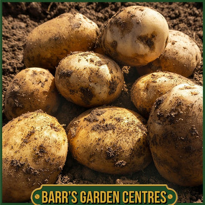 Epicure Potatoes 2KG