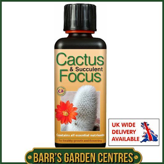 Growth Technolgy Cactus & Succulent Focus 300ml