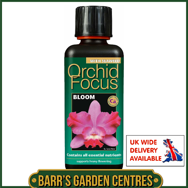 Growth Technolgy Orchid Focus Bloom with Seaweed 300ml