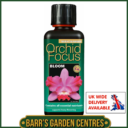 Growth Technolgy Orchid Focus Bloom with Seaweed 300ml