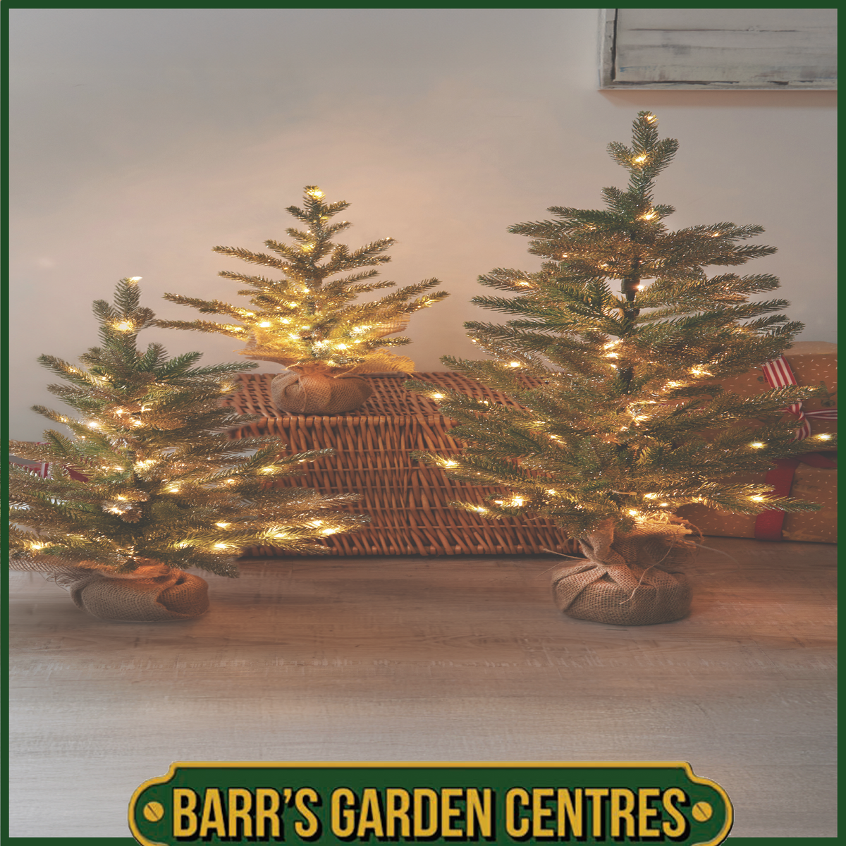 InLit Sparkly Fir, 60cm