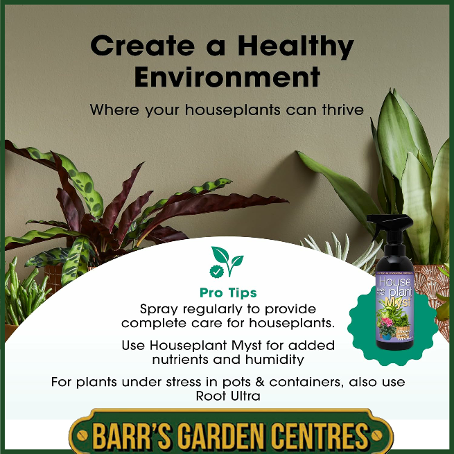 Growth Technolgy Houseplant Focus with Seaweed 300ml