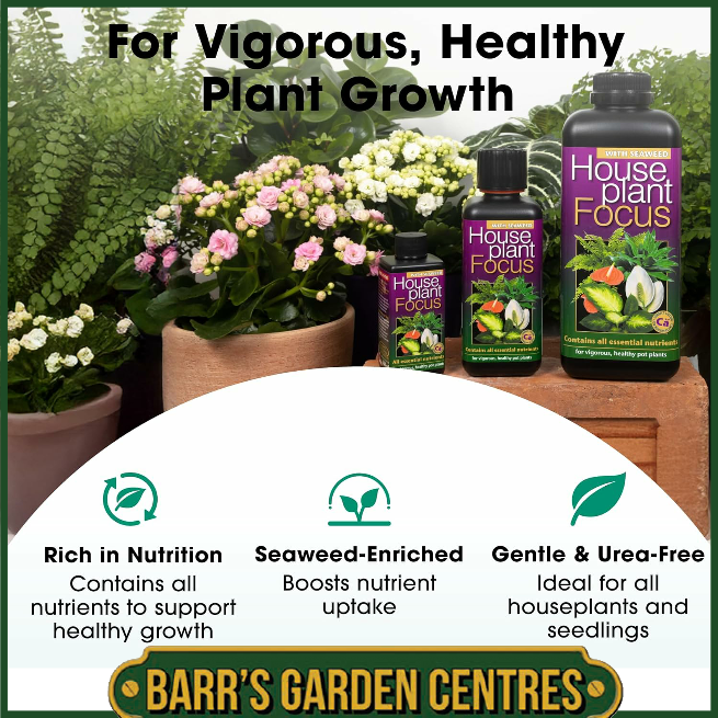 Growth Technolgy Houseplant Focus with Seaweed 300ml