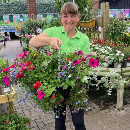 14" PLANTED HANGING BASKET
