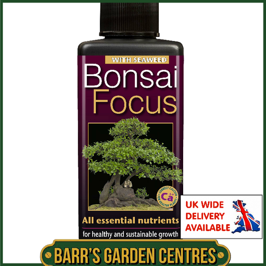Growth Technolgy Bonsai Focus with Seaweed 300ml