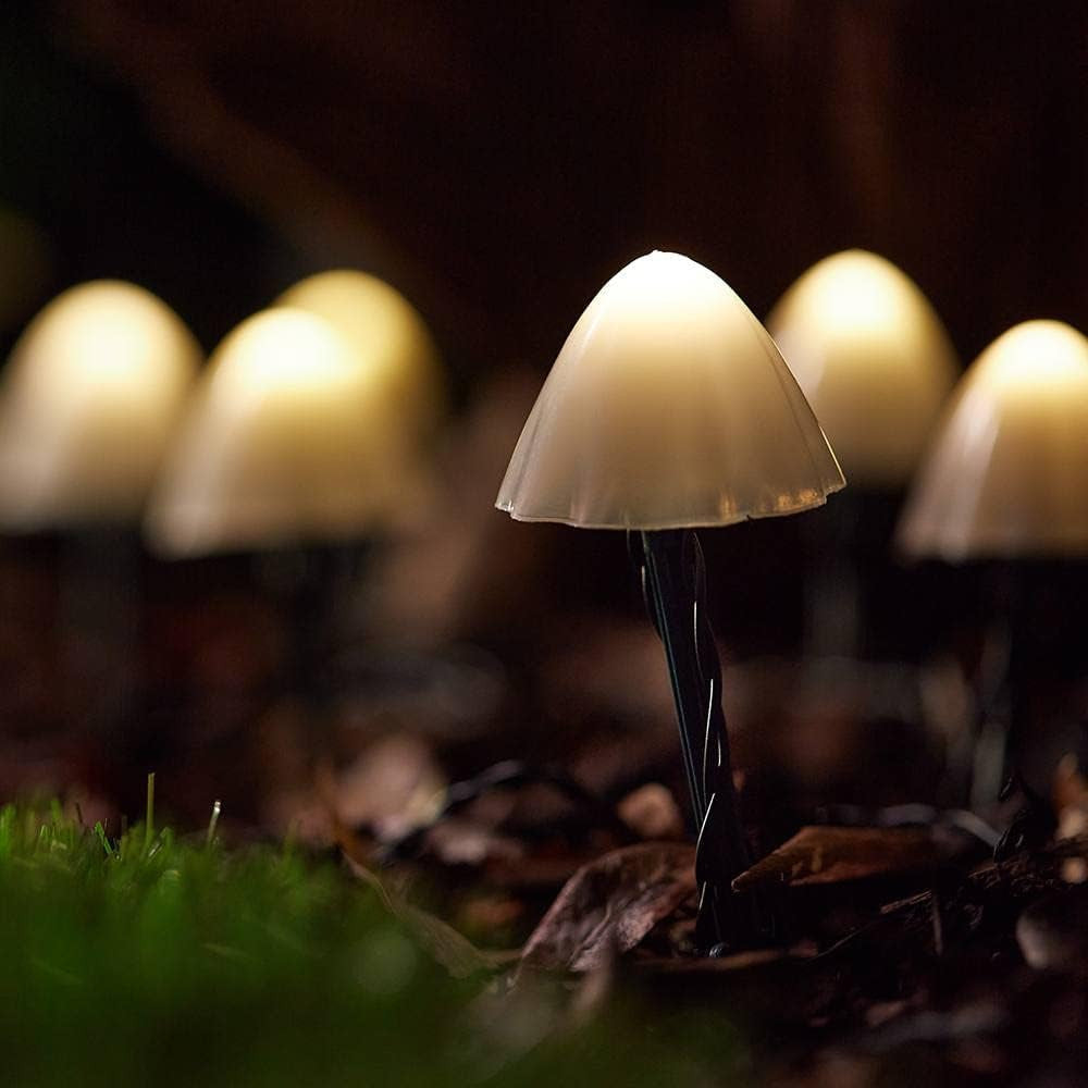 Forest Solar Mushroom Lights - Set Of 12