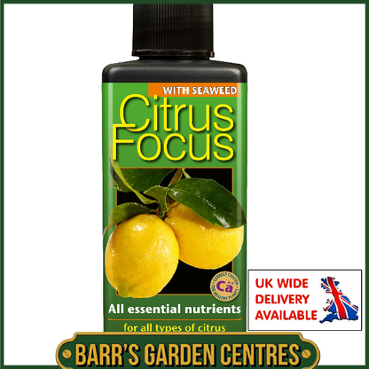 Growth Technolgy Citrus Focus with Seaweed 300ml