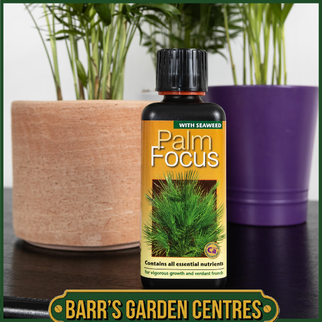 Growth Technolgy Palm Focus with Seaweed 300ml