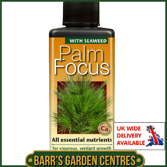 Growth Technolgy Palm Focus with Seaweed 300ml