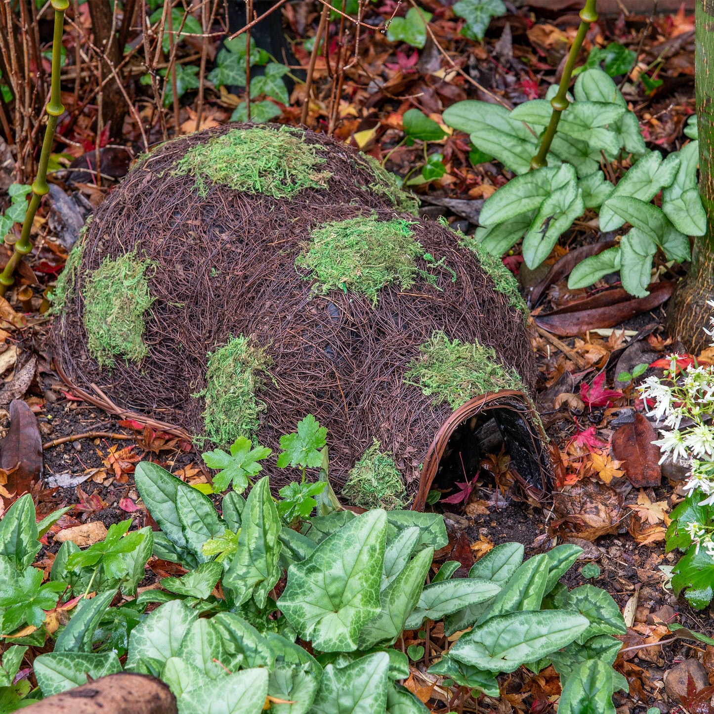 Gardman Gardman Woven Hedgehog House