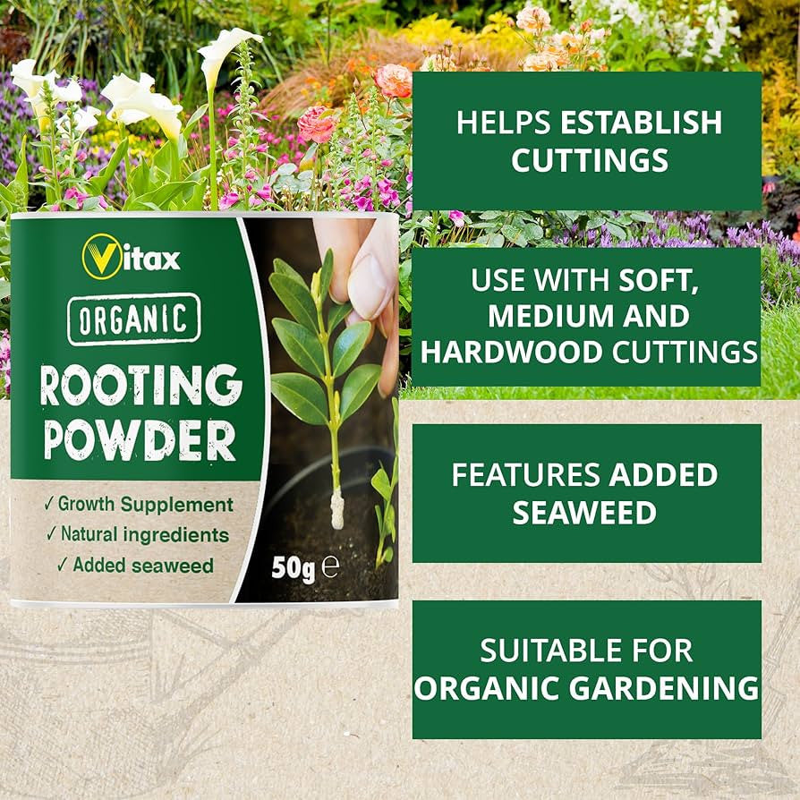 Vitax Organic Rooting Powder