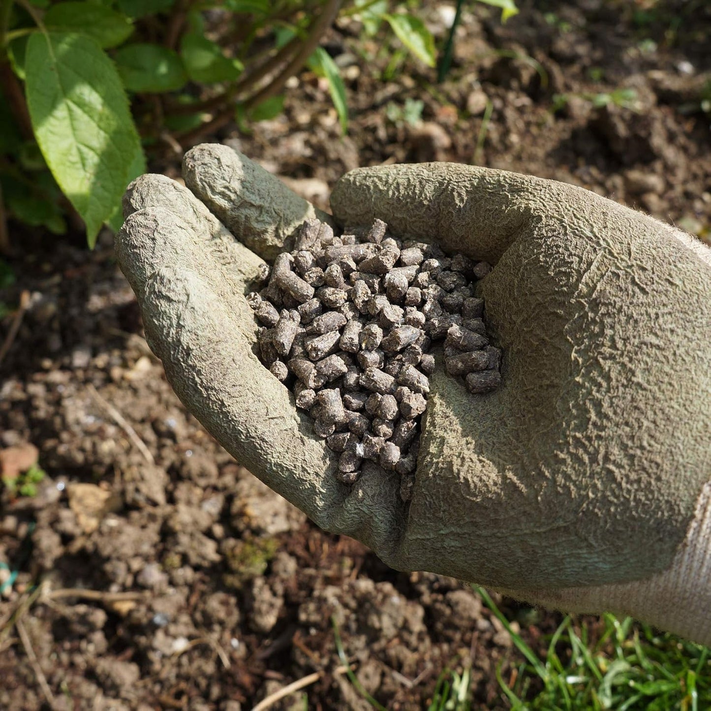 6X Pelleted Poultry Manure 7kg Tub