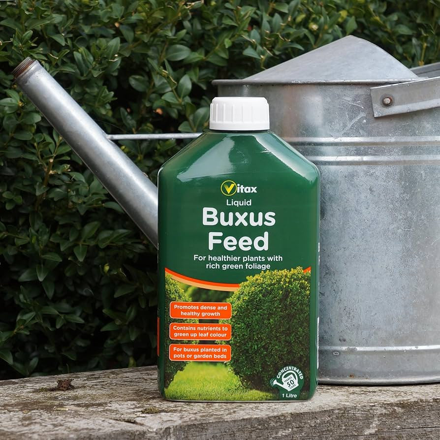 Vitax Buxus Feed Liquid 1Litre