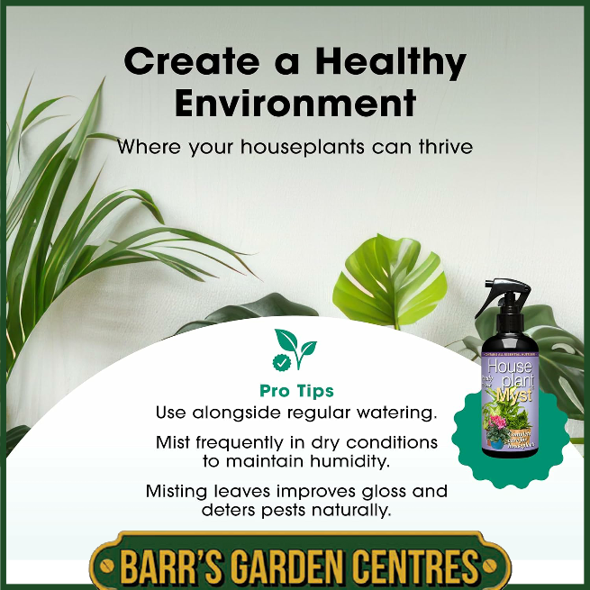 Growth Technolgy Houseplant Myst - 300ml