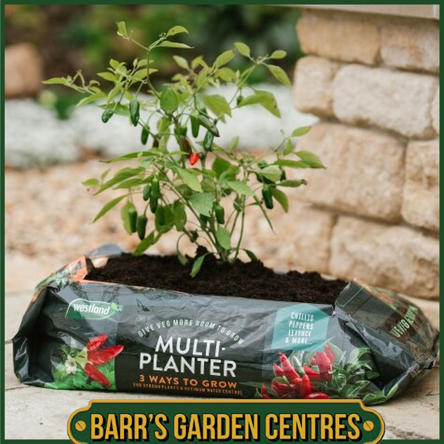 Westland Multi-Planter Medium 40L