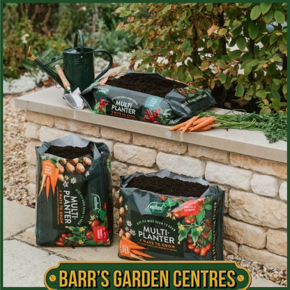 Westland Multi-Planter Medium 40L