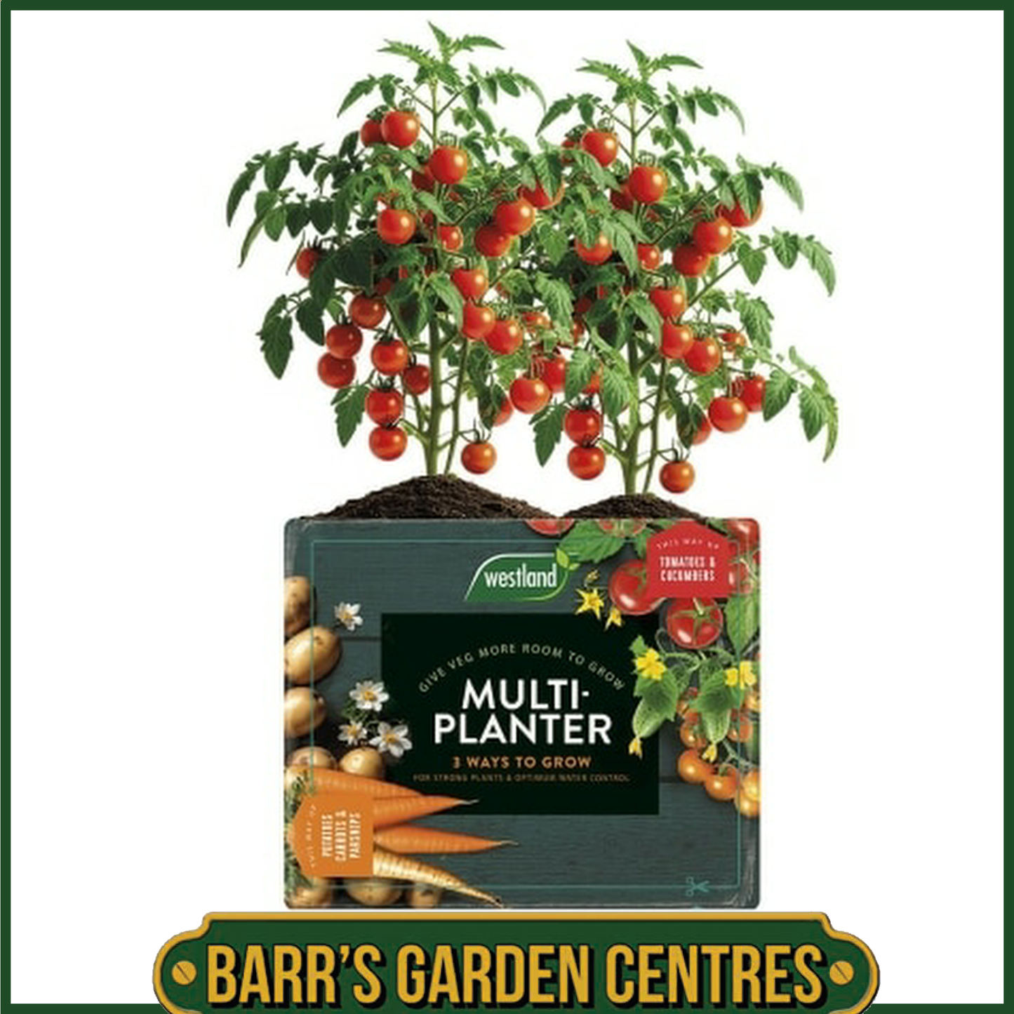 Westland Multi-Planter Medium 40L
