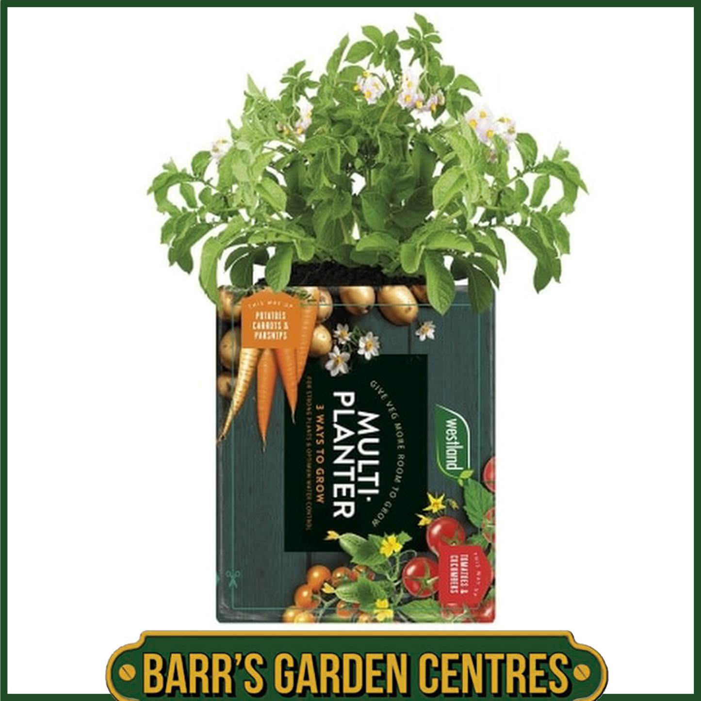 Westland Multi-Planter Medium 40L