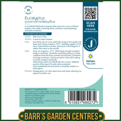 Johnsons - Eucalyptus Pulverulenta Baby Blue - 10 Seeds