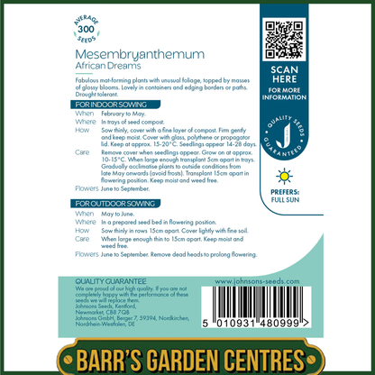 Johnsons - Mesembryanthemum African Dream - 300 Seeds
