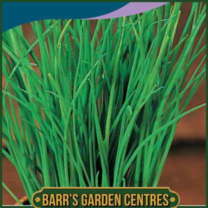 Johnsons - Herb - Chives Fine Leaf - 500 Seeds
