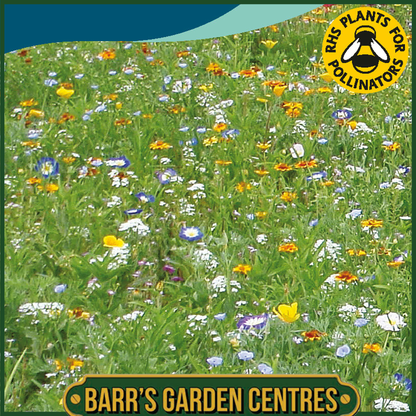 Johnsons - Mixed Annuals Peggy Sue - 1g Seeds