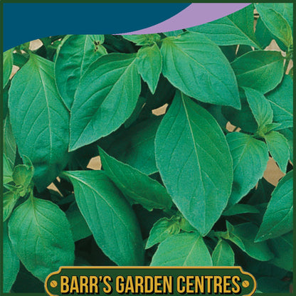 Johnsons - Herb - Basil Lemon - 300 Seeds