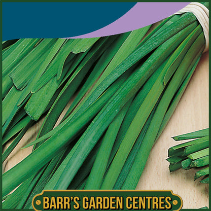 Johnsons - Herb - Garlic Chives - 250 Seeds