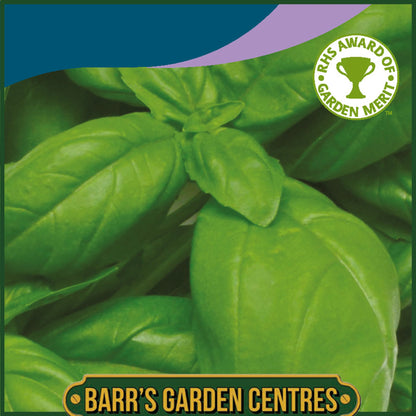 Johnsons - Herb - Basil Aroma 2 F1 - 250 Seeds